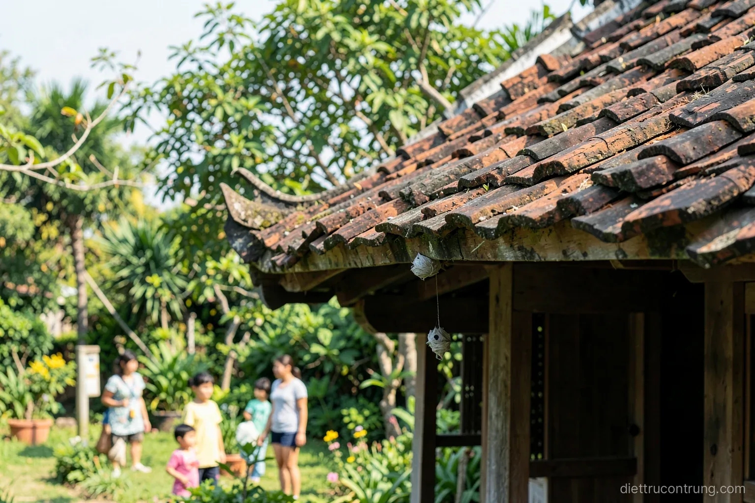 Distant view of a Vietnamese house eave with a small grey paper wasp nest under the roof tiles, a family watching from a safe distance in the garden, clear afternoon light
