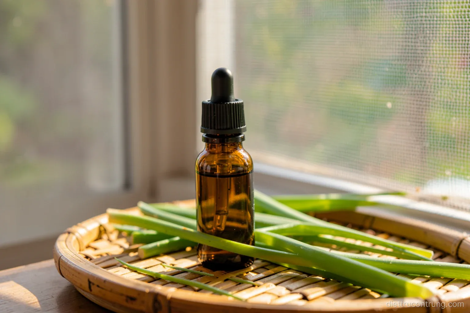 Close-up of a small amber glass dropper bottle and fresh lemongrass stalks on a bamboo tray beside an open window with a fine mesh screen, warm afternoon light